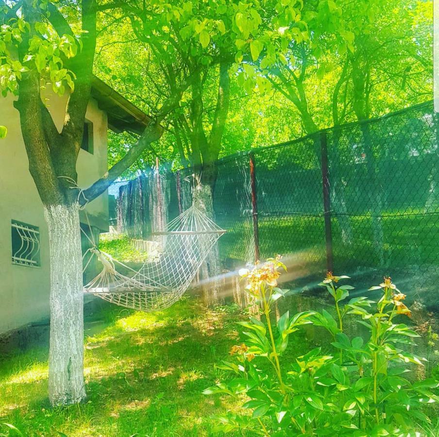Keep Calm Garden Vila Saraievo Exterior foto